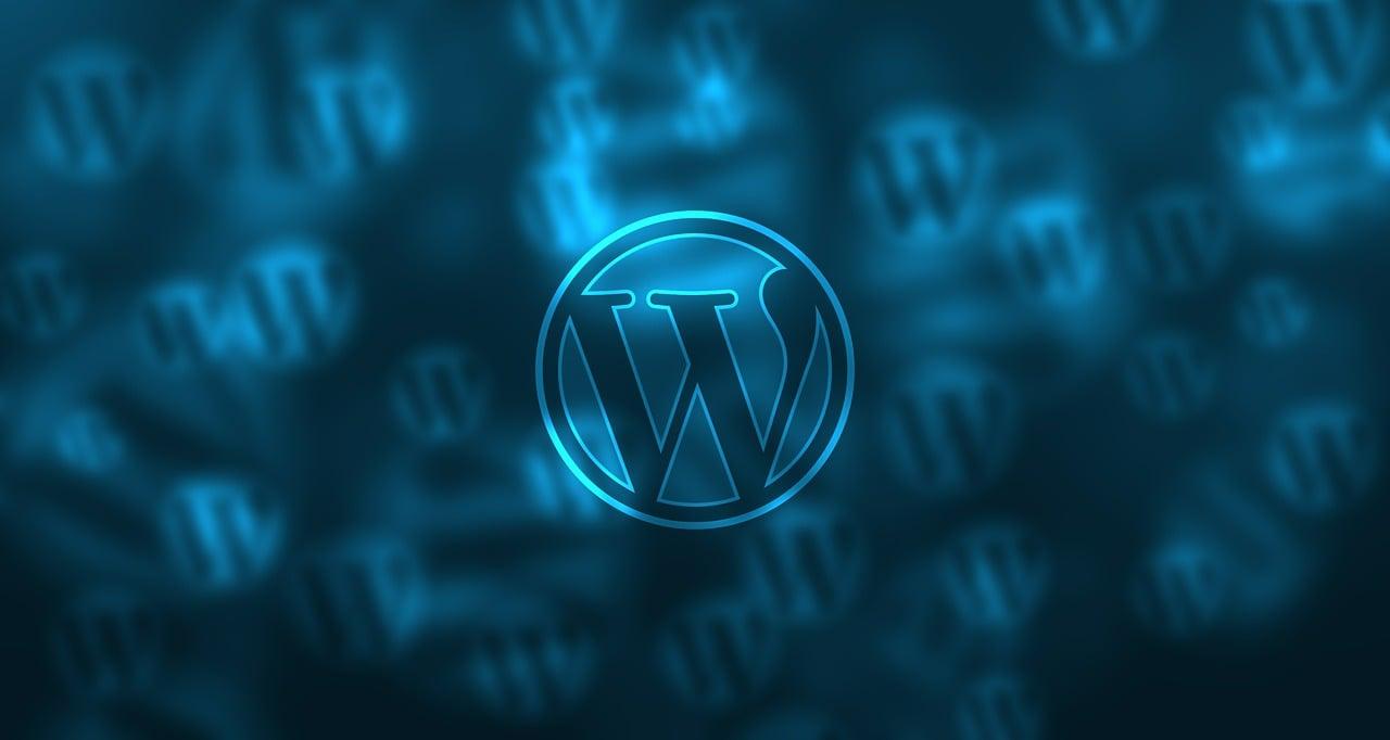 Why We Focused on WordPress?